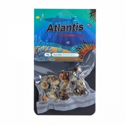Magische Trüffel Atlantis - 15 Gramm 16,50 Next Level Smartshop Webshop