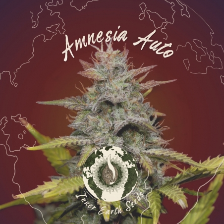 Amnesia Auto Feminisiert - Inner Earth Seeds - Nächste Stufe