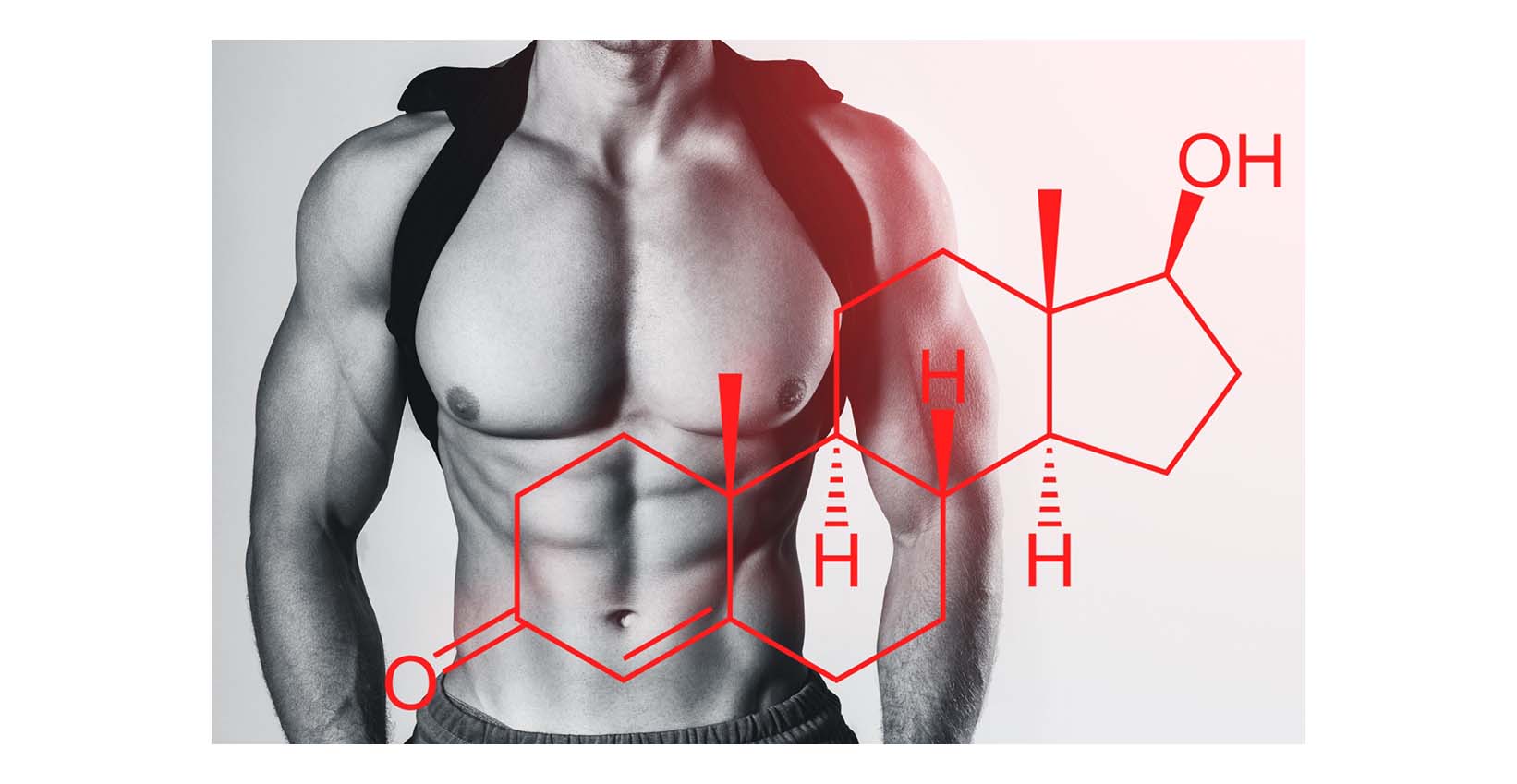 Chemische Struktur von Testosteron