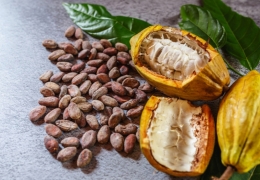 Fünf überraschende Vorteile des Konsums von rohem Kakaopulver