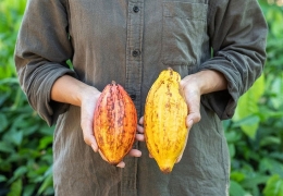 Die 3 besten rohen Kakaoprodukte zum Aufwärmen