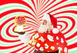 Hat der Weihnachtsmann etwas mit Magic Mushrooms zu tun? Schauen wir uns die Geschichte an.