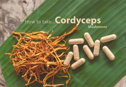 Wie man Cordyceps Pilz einnimmt