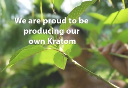 Unsere eigene Kratom-Fabrik in Indonesien