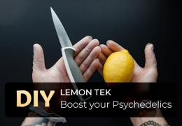 Die Magie hinter Lemon Tek: Verstärken Sie Ihre psychedelische Erfahrung
